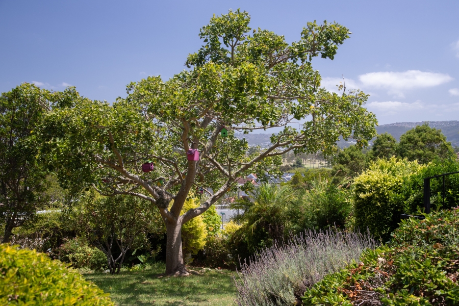 3 Bedroom Property for Sale in Rexford Western Cape